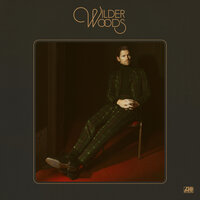 Mary, You're Wrong - Wilder Woods