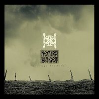 IIII - Negură Bunget
