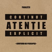 Toată Lumea Fumează - Parazitii, Adrian Despot