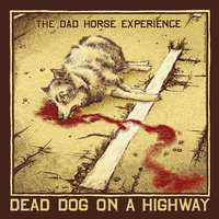 The Dad Horse Experience