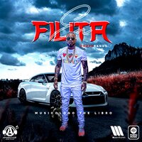 En Filita Cooperando - Musicologo the Libro
