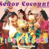 Riders on the Storm - Señor Coconut