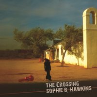 Betchya Got a Cure for Me - Sophie B. Hawkins