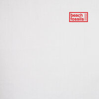 Sugar - Beach Fossils