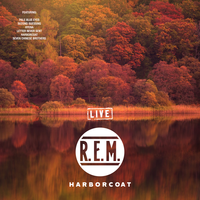 Second Guessing - REM