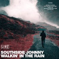 Without Love - Southside Johnny