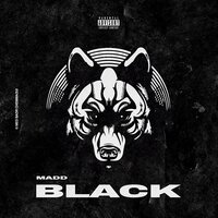 Black - Madd