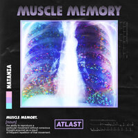 Muscle Memory - Natania