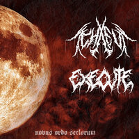Worms Decomposition - CHXEU