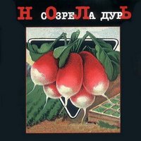 В саду у дяди Миши - Ноль