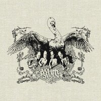 Liar - White Swan