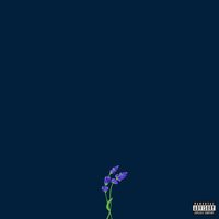 first day of my life - gnash, Goody Grace