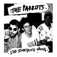 I Did Something Wrong - The Parrots