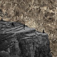 A Desire for Light - Esben and the Witch
