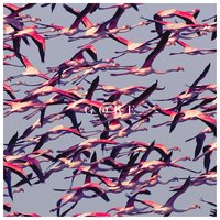 Prayers / Triangles - Deftones