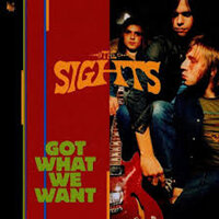 Don't Want You Back - The Sights