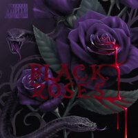 Black Roses - Burden