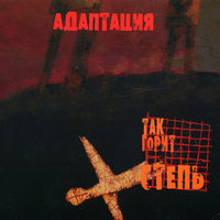 Голод - Адаптация