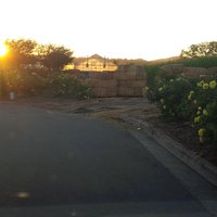 Come Find Me - Nova