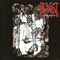 Пред Эпохой Забвения - Alkonost