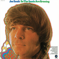 Drown In My Own Tears - Joe South