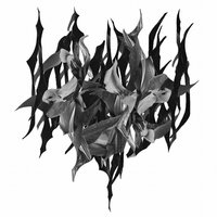 Body As Wilhelm - Yves Tumor