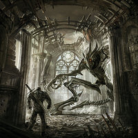 Spinal Cord Collection - Diskreet