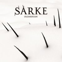 Paradigm Lost - Sarke