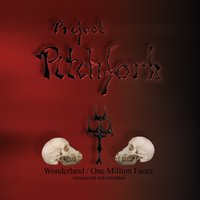 Résumé - Project Pitchfork