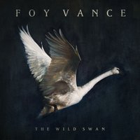 Noam Chomsky Is A Soft Revolution - Foy Vance