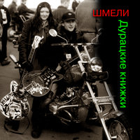 Не грусти и так хуёво - Шмели