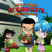 Te Cansaste - Ele A El Dominio
