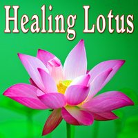 Aspire to Hope - Meditation Spa Society