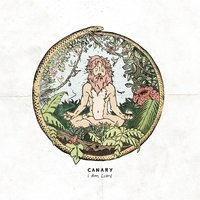 Fickle Heart - Canary