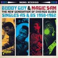 I Got Eyes on You - Buddy Guy