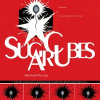 Leash Called Love - The Sugarcubes