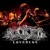 The Sun in Your Eyes - Lovebugs