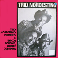 O Que Passou Passou - Trio Nordestino