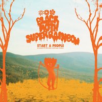 Snail Garden - Black Moth Super Rainbow
