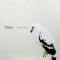 What Are You Waiting for? - Dikta