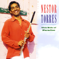Doesn't Really Matter - Nestor Torres