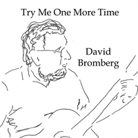 Kind Hearted Woman - David Bromberg