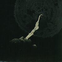 Priest in the Laboratory - White Suns