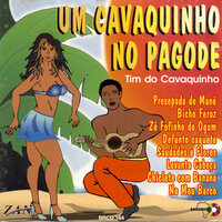 Insensato Destino - Tim do Cavaquinho, Reinaldo, Joao Espanhol