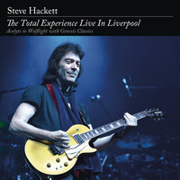 The Wheel's Turning - Steve Hackett