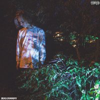 Нет сети - PHARAOH
