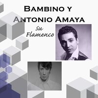 La Pared - BamBINO