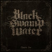 Let It Go - Black Swamp Water