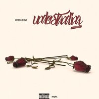 Understanding - Lucas Coly
