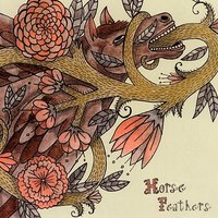 Walking & Running - Horse Feathers